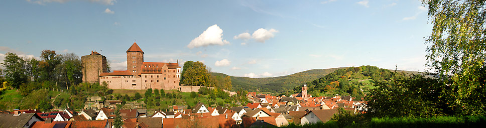 Blick auf die Burg Rieneck aus Richtung Westen