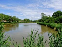 Angeln Am Angelteich | Spessart Erleben